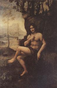 Leonardo  Da Vinci Bacchus (mk05) oil painting image